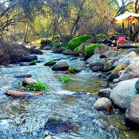 Magical River House ! 10 Min To Snp Park Entrance Три-Риверс Экстерьер фото