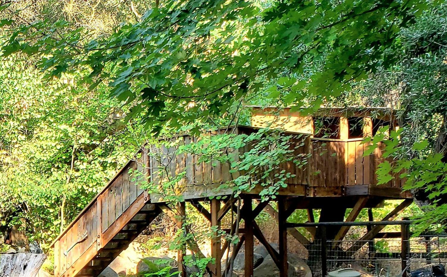 Magical River House ! 10 Min To Snp Park Entrance Три-Риверс Экстерьер фото